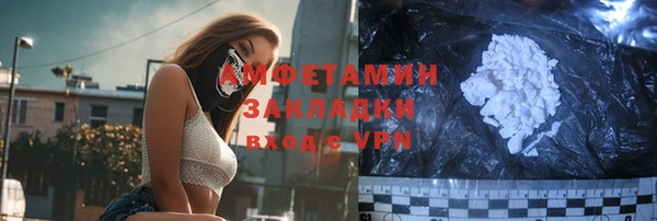 индика Бородино