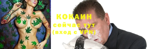 спайс Богородицк