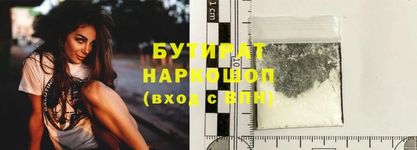индика Бородино