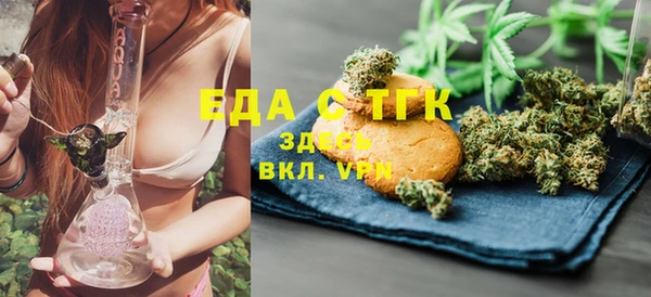 индика Бородино