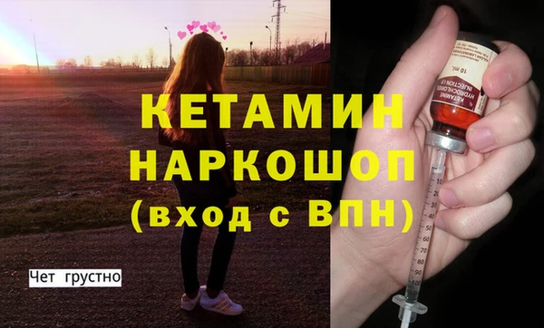 индика Бородино