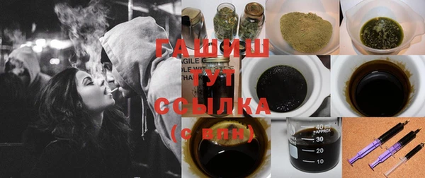 индика Бородино