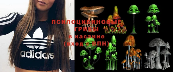 мяу мяу кристалл Богданович