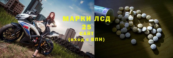 индика Бородино