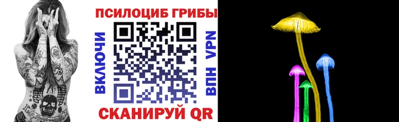 Псилоцибиновые грибы Psilocybe  Гай 